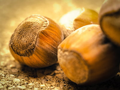 close-up photography of brown walnuts thumbnail
