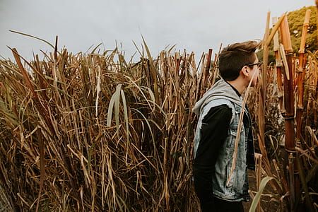 man wearing blue denim hoodie jacket standing on brown grass field thumbnail