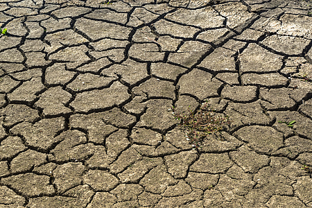 brown cracked ground thumbnail