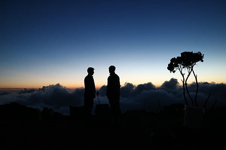 silhouette of two person along tree thumbnail