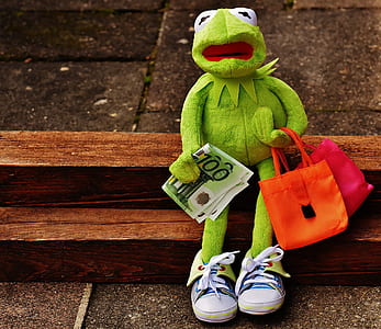 Kermit the Frog sitting while holding banknote thumbnail