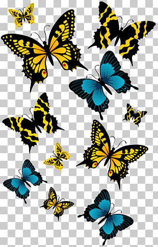 Butterfly , Butterflies , assorted-color swallowtail butterflies illustration PNG clipart