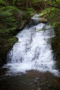 nature, brook, stream, waterfall thumbnail