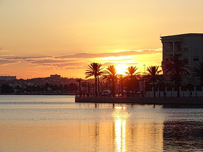 silhouette of palm trees during sunset thumbnail