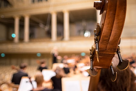 brown string instrument head surface thumbnail