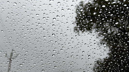 grayscale photo of raindrops thumbnail