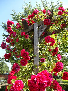 red flowers with green leaves decor thumbnail