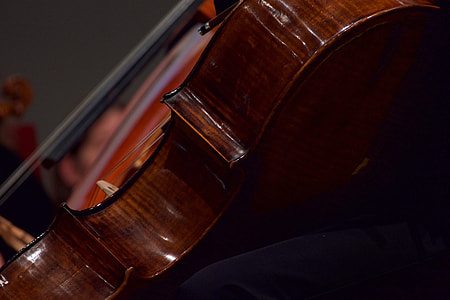 Cello, Musical Instrument thumbnail