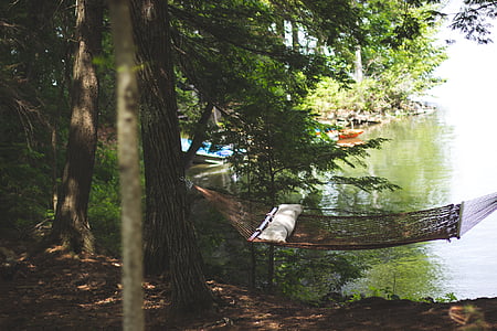 brown hammock between trees during daytime thumbnail