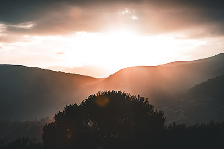 tree near mountain during sunset thumbnail