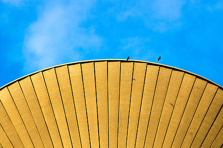 two bird flying above the building thumbnail