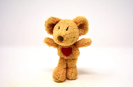 brown bear plush toy on white surface thumbnail