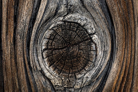 close-up photography of brown and beige wooden slab thumbnail