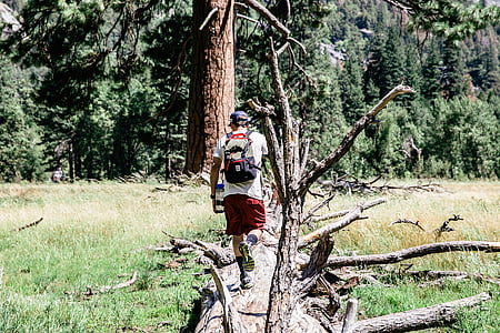 man carrying backpack walking on brown log thumbnail