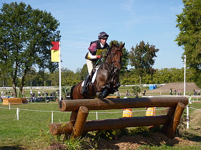 equestrian riding horse who's jumping on brown log thumbnail