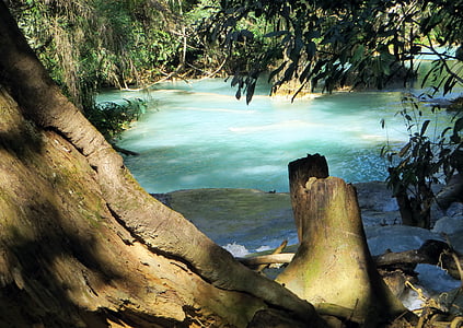 body of water near trees thumbnail