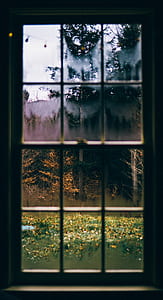 glass window with black wooden frame thumbnail