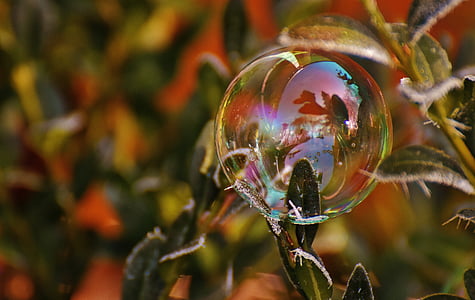 bubble in bokeh photography thumbnail
