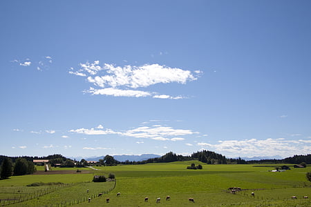 photo of animals on farm thumbnail