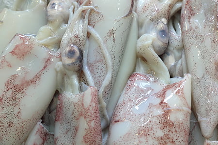 white squid lot thumbnail
