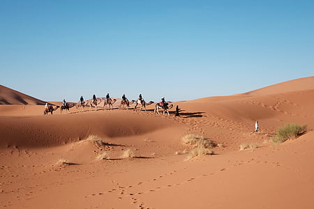 group of people riding camels on desert thumbnail