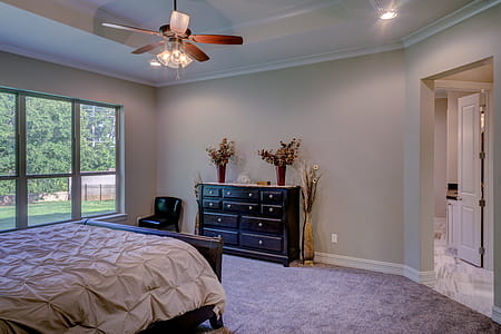 Bed Comforter Under the Ceiling Fan thumbnail