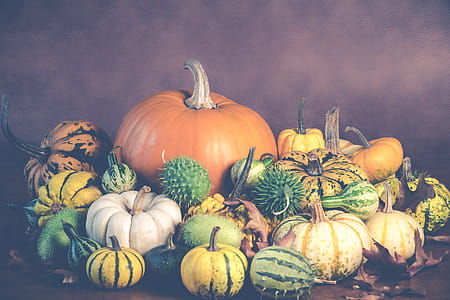 Assorted-colored Pumpkin and Squash Arrangement Wallpaper thumbnail
