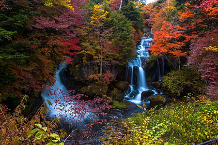 waterfalls surrounded by trees thumbnail
