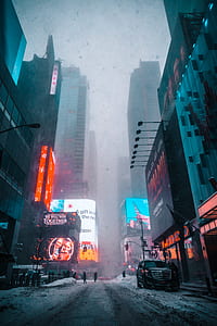 people standing between high-rise buildings during winter thumbnail