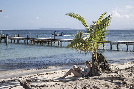 woman beside palm tree thumbnail