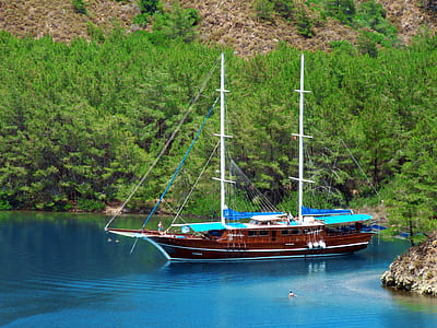 brown and white boat near trees thumbnail