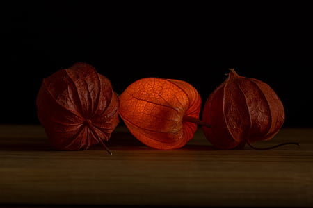three brown leaves on brown wooden table thumbnail