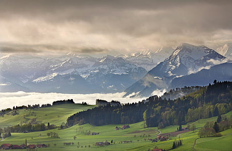landscape photo of green grass field thumbnail
