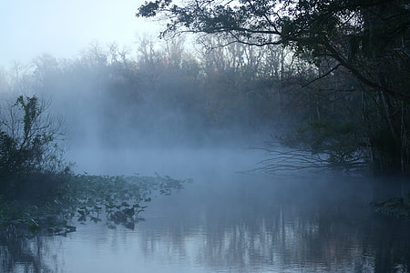 lake in a foggy morning weather thumbnail