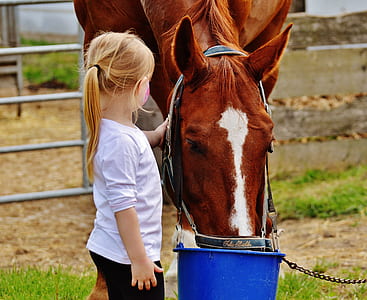 girl in white shirt holding horse thumbnail