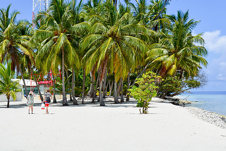 Baa, Palm Trees On The Beach thumbnail