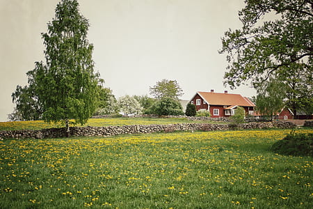 green grass field near red house and green trees thumbnail