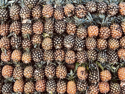 pineapple lot thumbnail