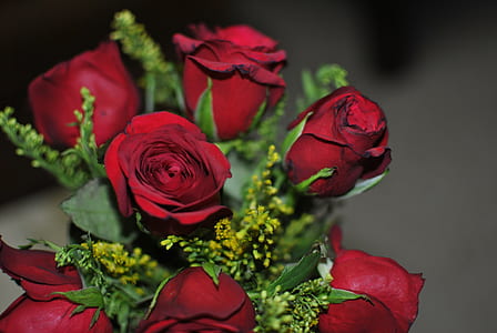 bundle of red rose flowers thumbnail