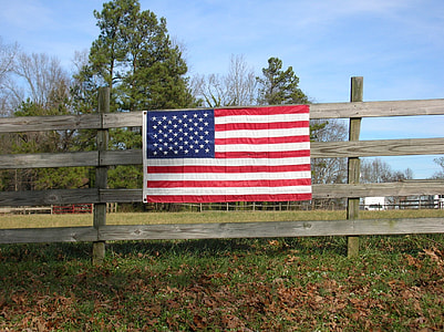 flag of United States of America thumbnail