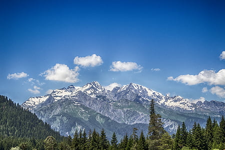 trees and mountains under blue sky thumbnail