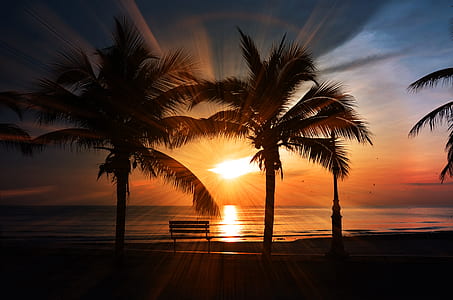 bench, sea, dawn, landscape thumbnail