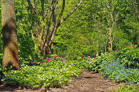 photo of green leaf trees thumbnail