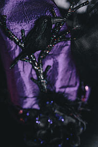 Halloween decorations thumbnail