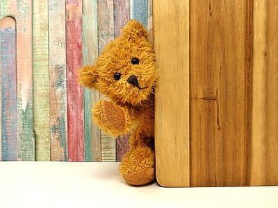 brown bear plush toy thumbnail