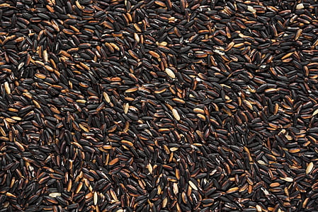 brown and black bean lot thumbnail