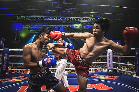 two men playing boxing thumbnail