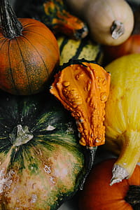 Variety of Pumpkins thumbnail