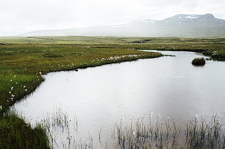 green grass field beside body of water thumbnail