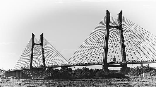 grayscale photography of bridge above body of water thumbnail